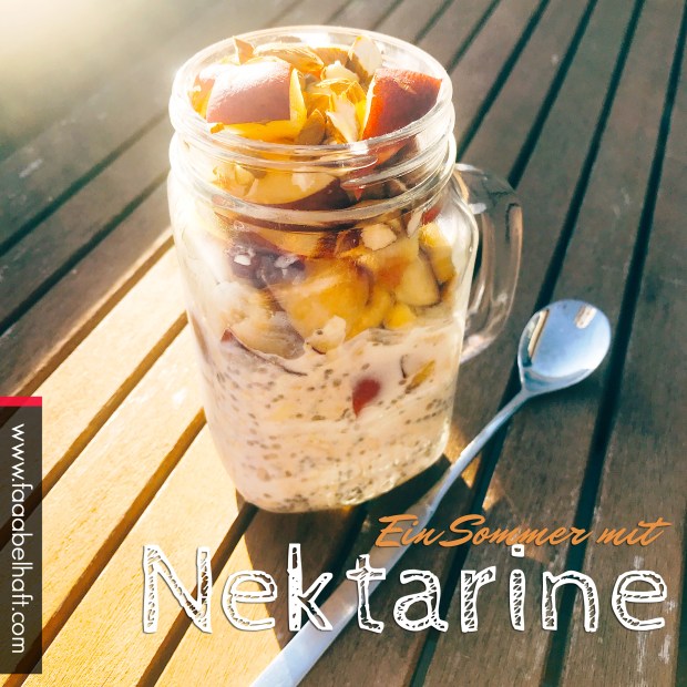 190301-OvernightOats-Nektarine